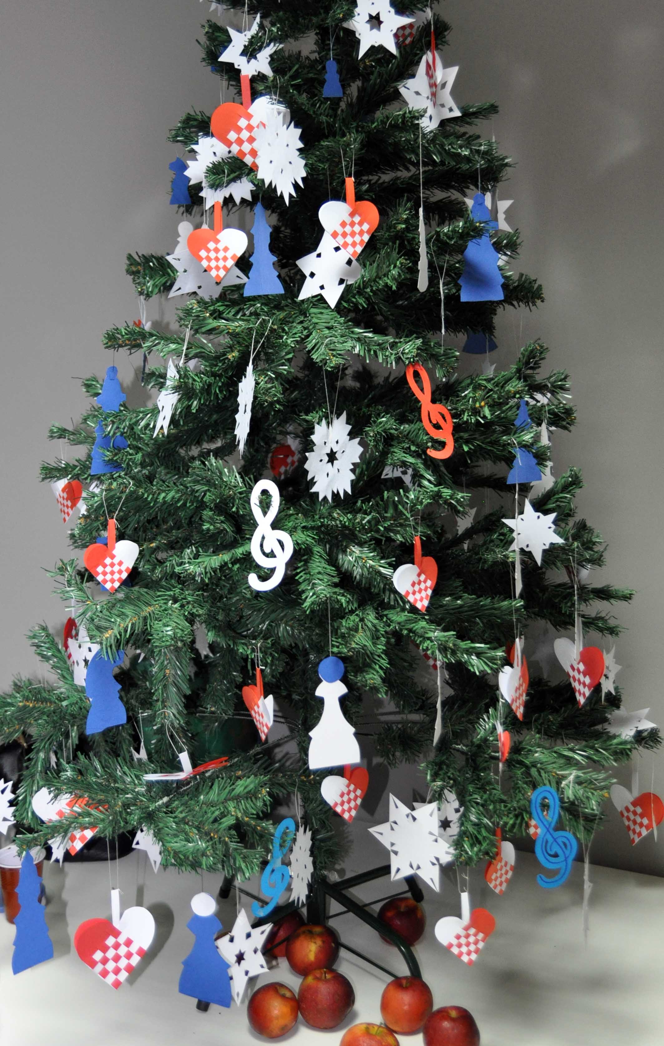 Zapresic Dom umirovljenika 13 01 2015 26